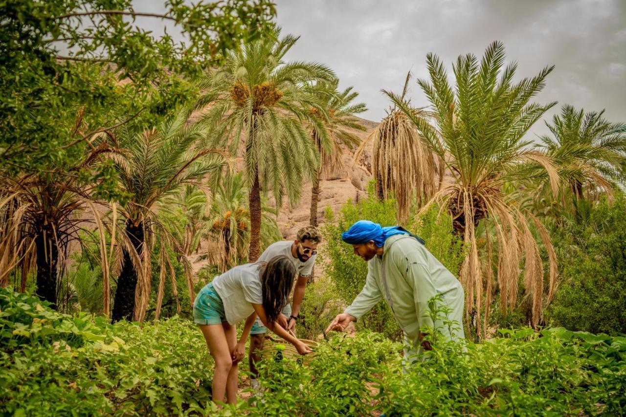 Ouednoujoum Ecolodge & Spa Ouarzazate Luaran gambar