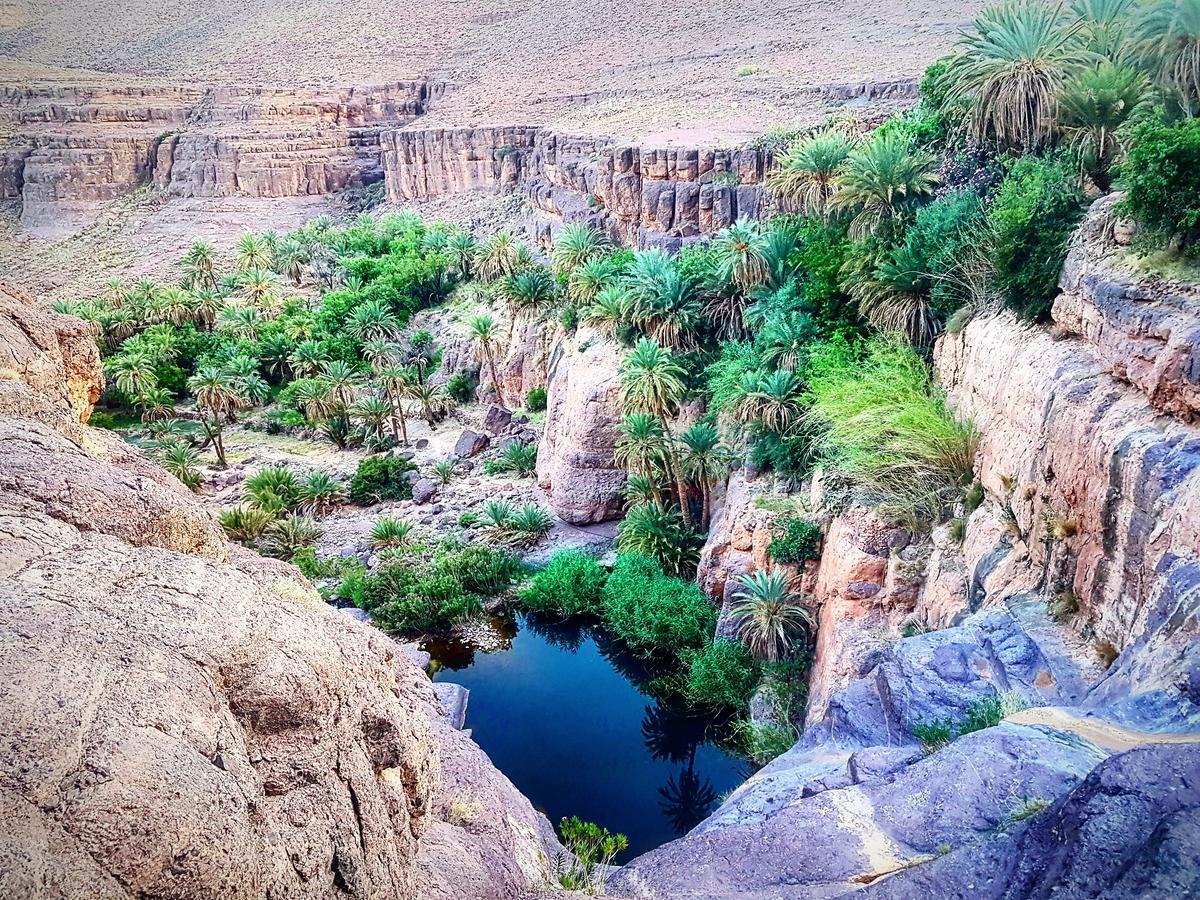 Ouednoujoum Ecolodge & Spa Ouarzazate Luaran gambar