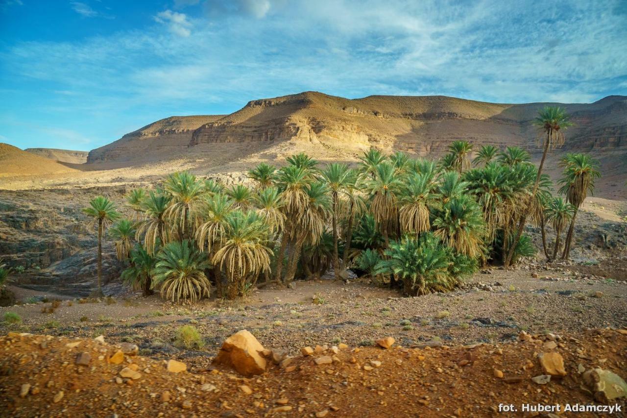 Ouednoujoum Ecolodge & Spa Ouarzazate Luaran gambar
